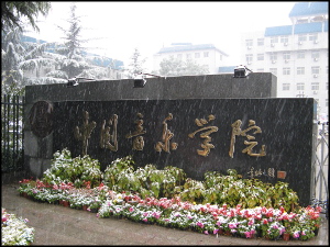 中国音楽院の画像
